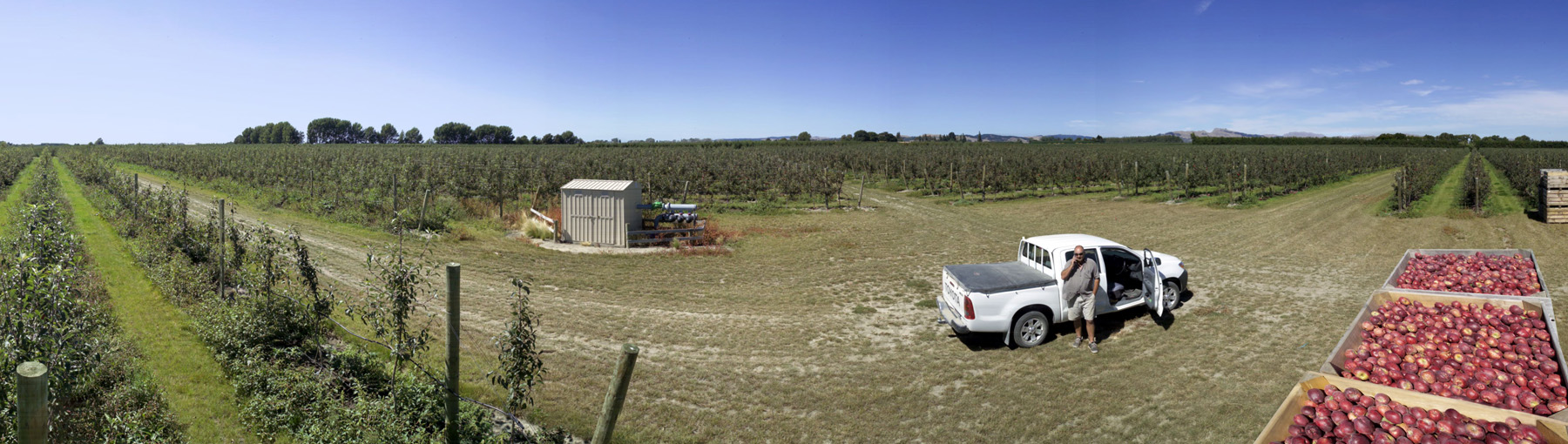 Scales Corporation Leader in New Zealand's Agribusiness